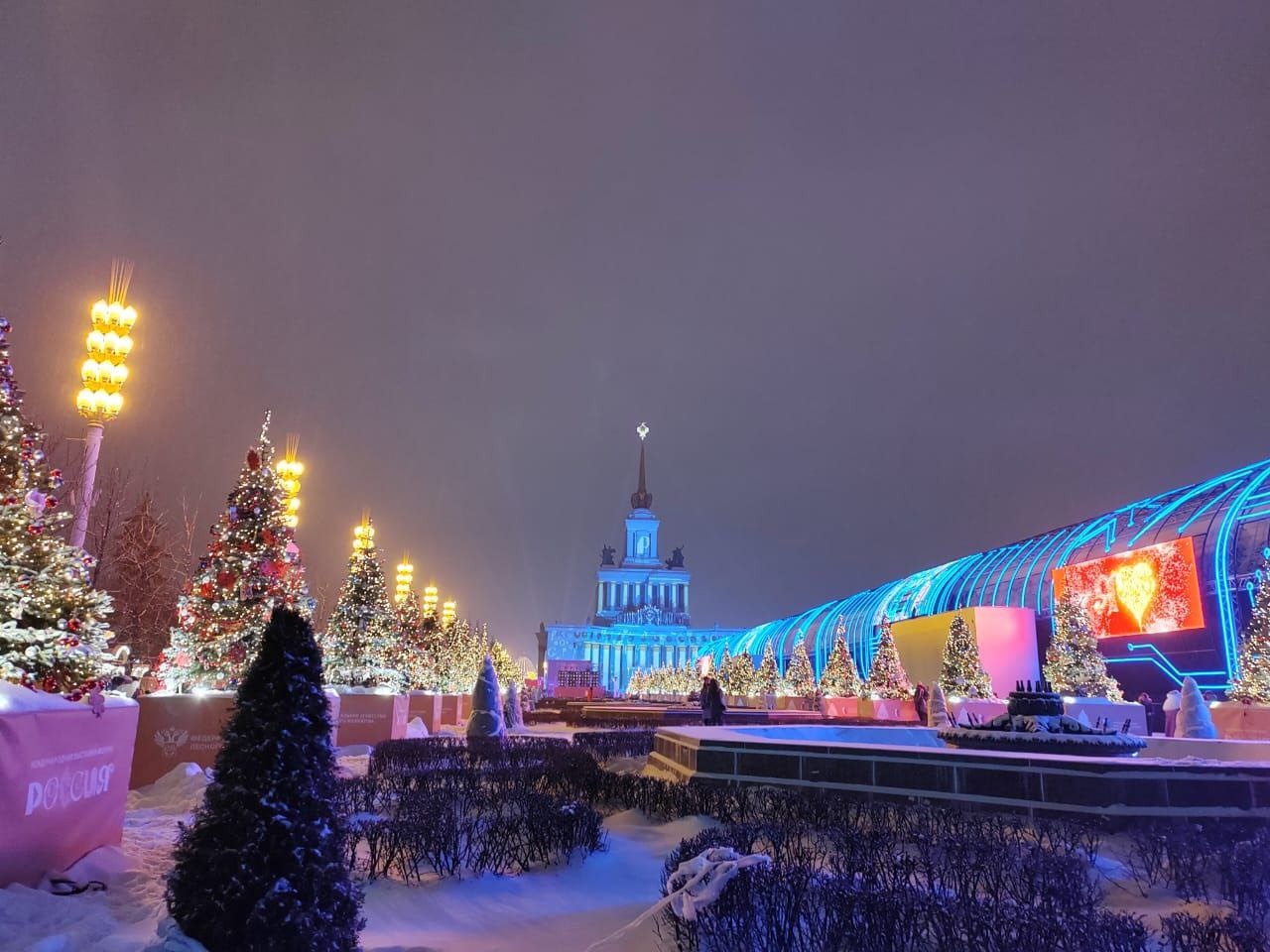 Омская область представила новогоднюю ёлку на ВДНХ в Москве.